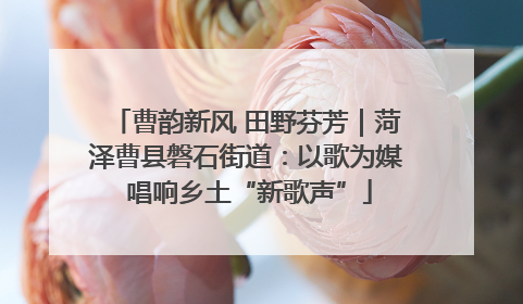 曹韵新风 田野芬芳｜菏泽曹县磐石街道：以歌为媒 唱响乡土“新歌声”